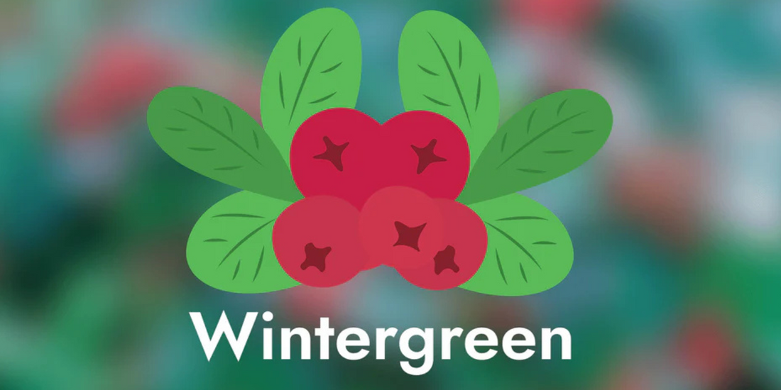 Wintergreen - A Natural Painkiller